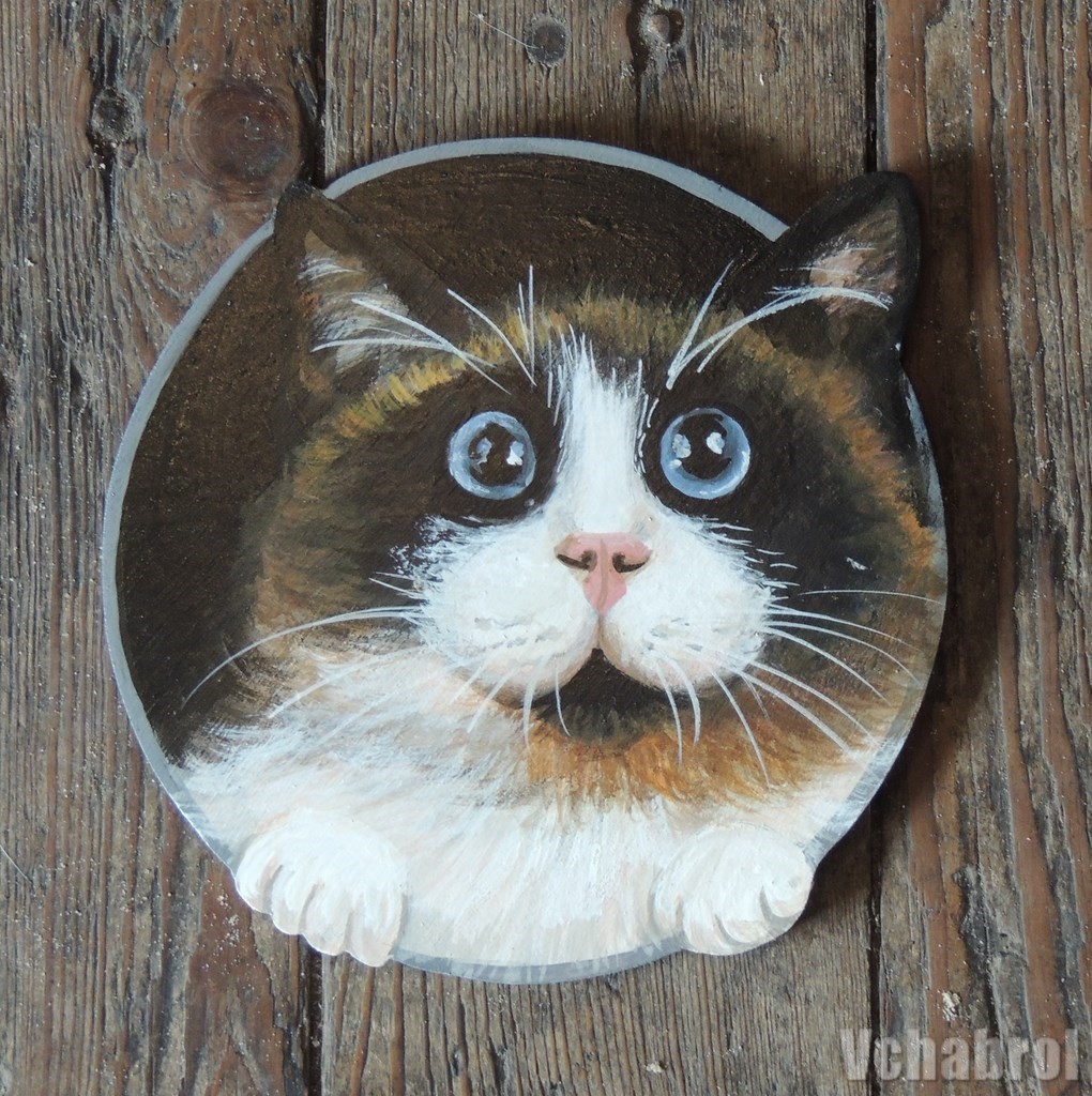 chat chatiere