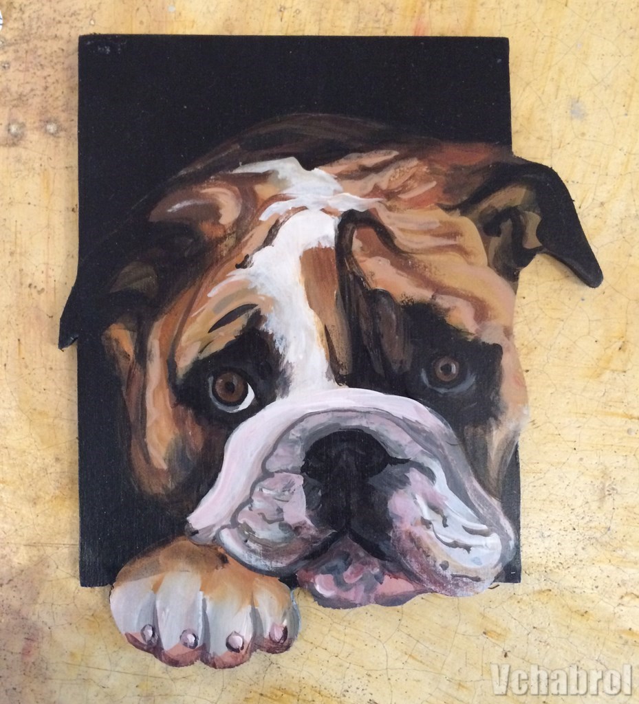 dogue