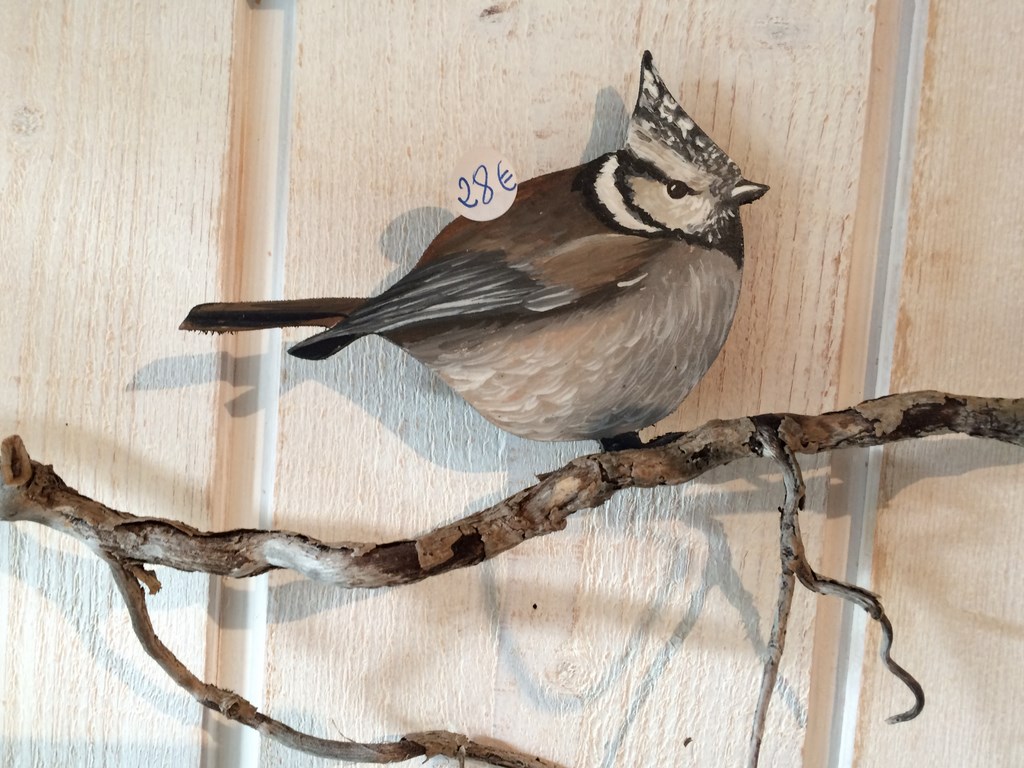 mésange huppée