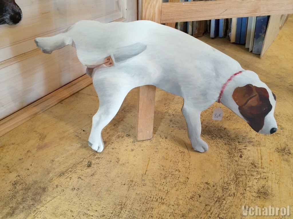 jack russel