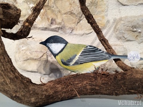 mésange