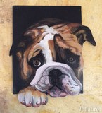 Dogue